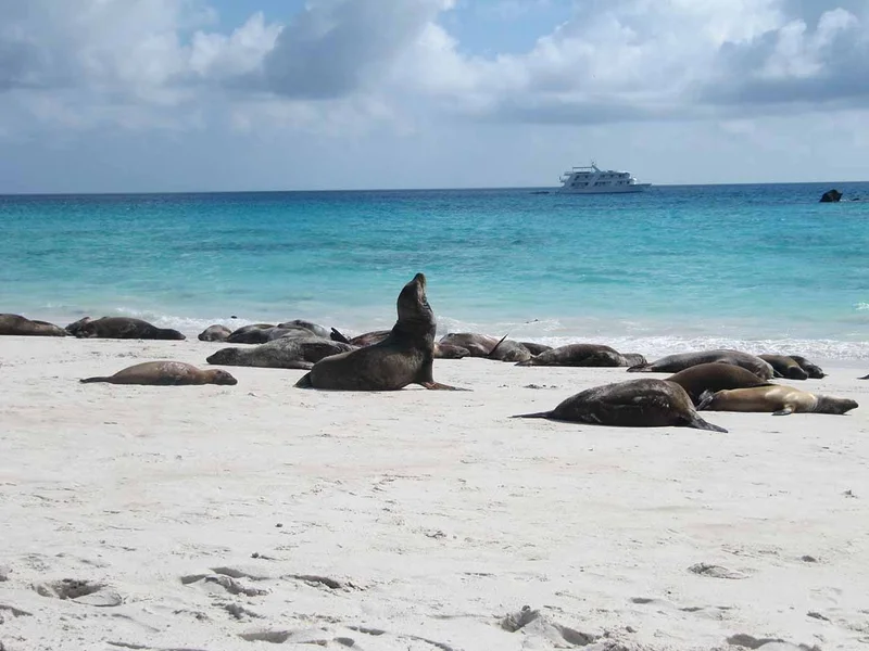 Luxury Galapagos Southern Islands Cruise