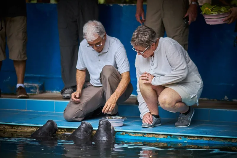 Manatee Rescue Center | Peru | South America