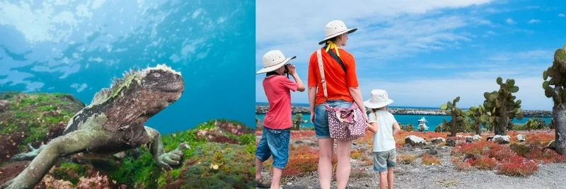 New Digital Compliance for Galápagos Entry Requirements