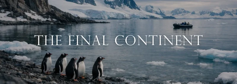 Explore Antarctica: Luxury Expedition Cruises Redefined