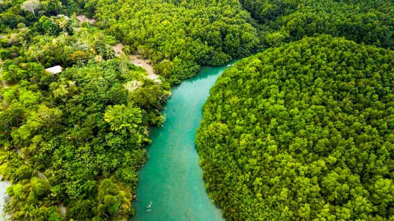 Osa Peninsula | Costa Rica
