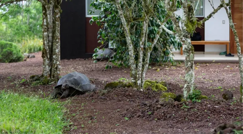 Outside | Montemar Eco Luxury Villas