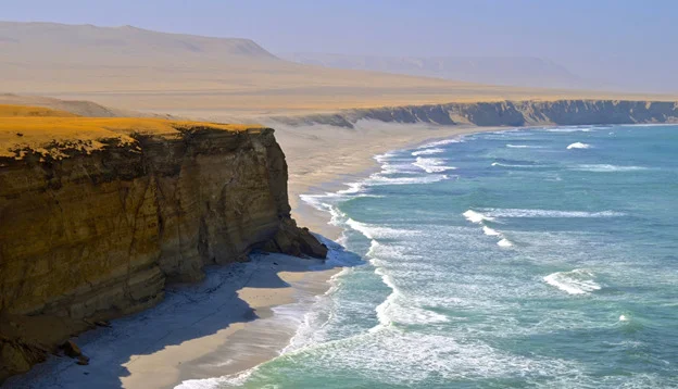 Discover the Hidden Fauna of Coastal Beaches Peru and Ecuador