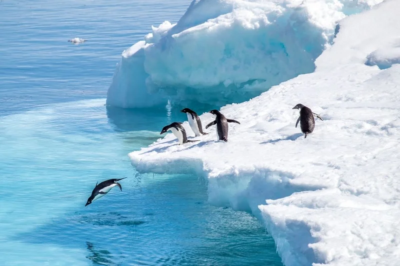 Revolutionary Fly & Cruise Expeditions to Antarctica 2028