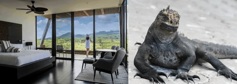 Explore the Untamed Beauty of Galapagos Islands