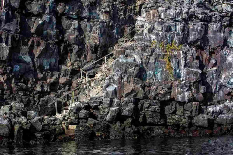 Galapagos 5 days cruise on board the Ocean Spray North and Central islands