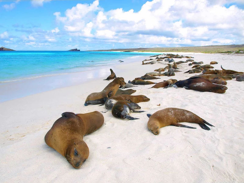 The Galapagos and Costa Rica