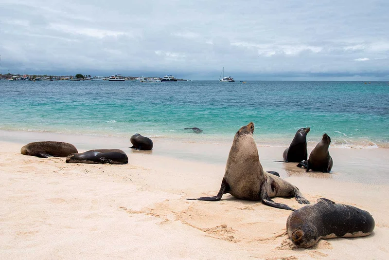 San Cristobal | Ecuador