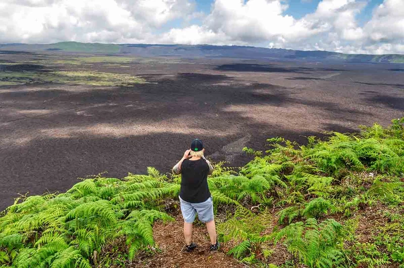 Western Galapagos Journey 8-Day Cruise from Baltra