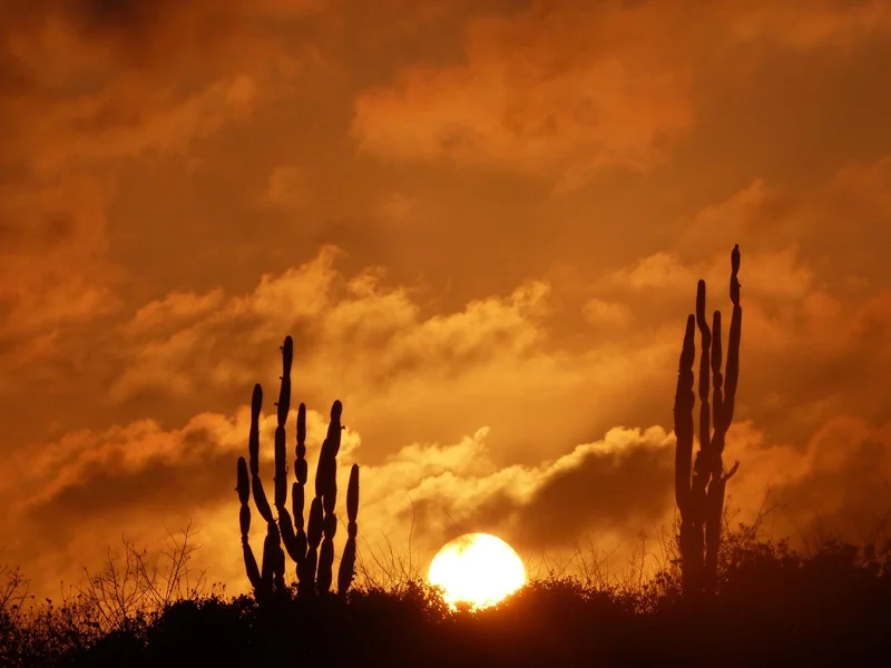Sunset | Isabela Island | Ecuador