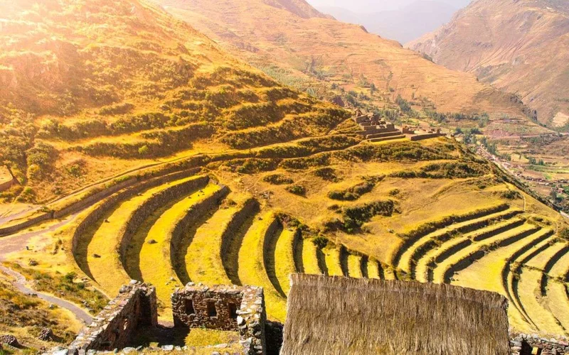 Terraces of Pisaq Ruins. Incan Citadel in Urubamba Valley | Peru