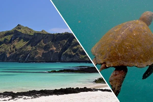The Best Galapagos Cruises to Book Right Now