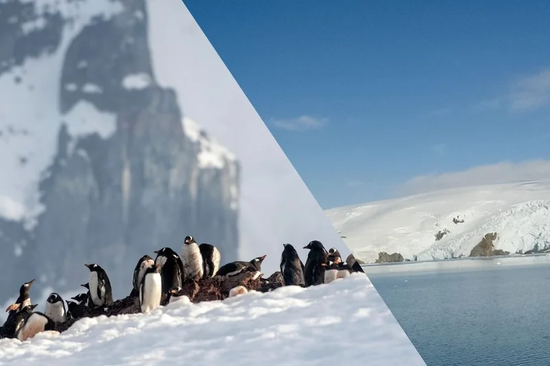 World Voyager Marks Five Years and Enters a New Era of Polar Exploration