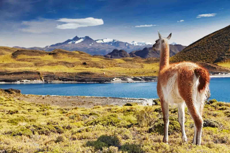 Honeymoon in Chile: Three destinations to live a unique experience