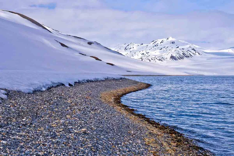 Svalbard Express