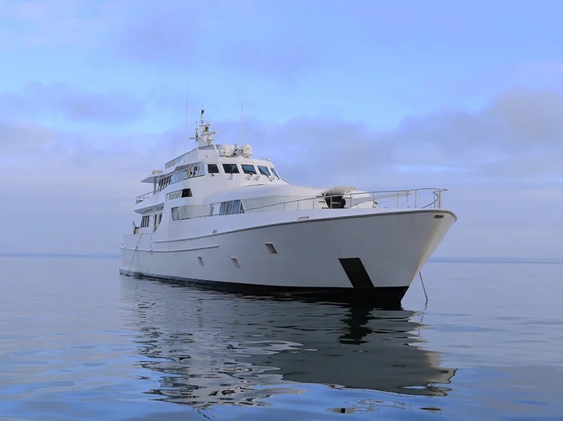 Vision Pikaia |  galapagos Cruise
