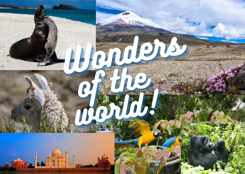 The World’s Most Biodiverse Countries and Why They Matter