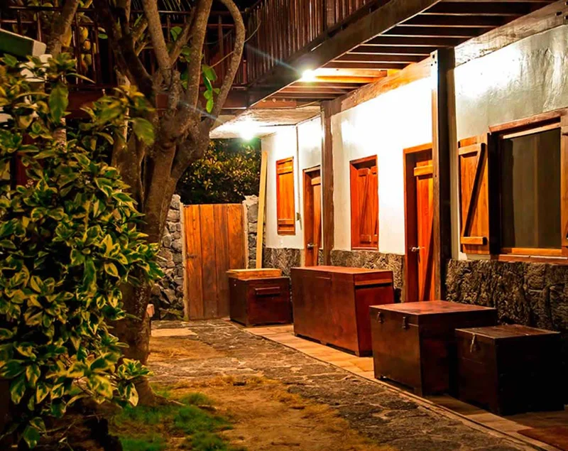 Exterior view | Wooden House