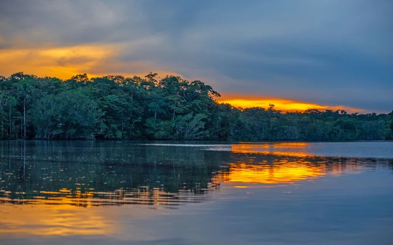 Yasuni National Park - Canva- SL_Photography Yasuni National Park - Canva- SL_Photography