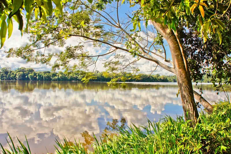 Tambopata National Reserve: Peru Gateway to the Amazon