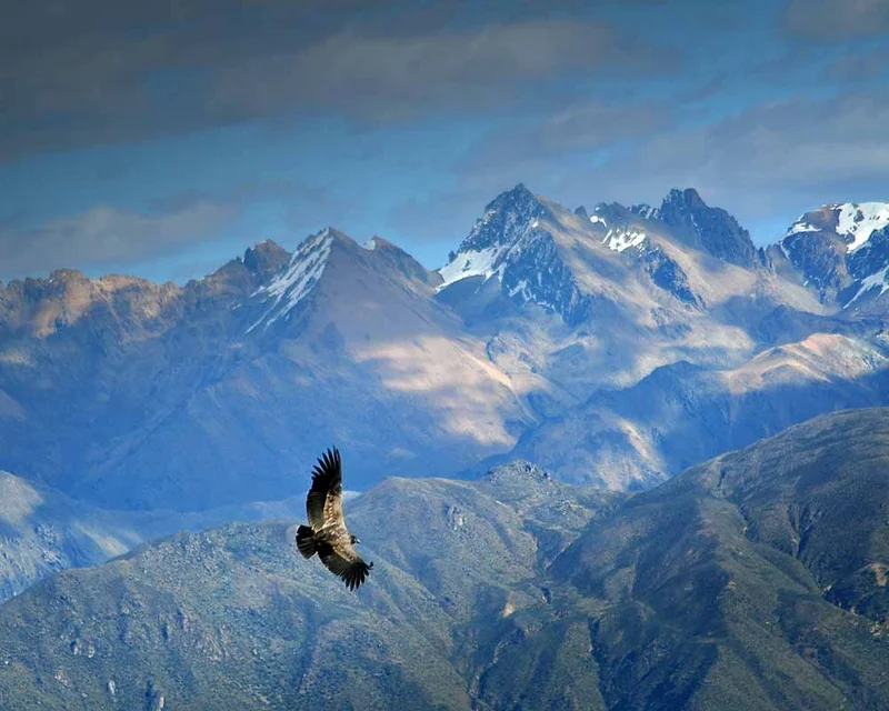 Arequipa Skies | Peru