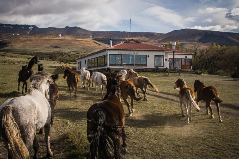 Cerro Guido Horse Riding | Chile Cerro Guido Horse Riding | Chile