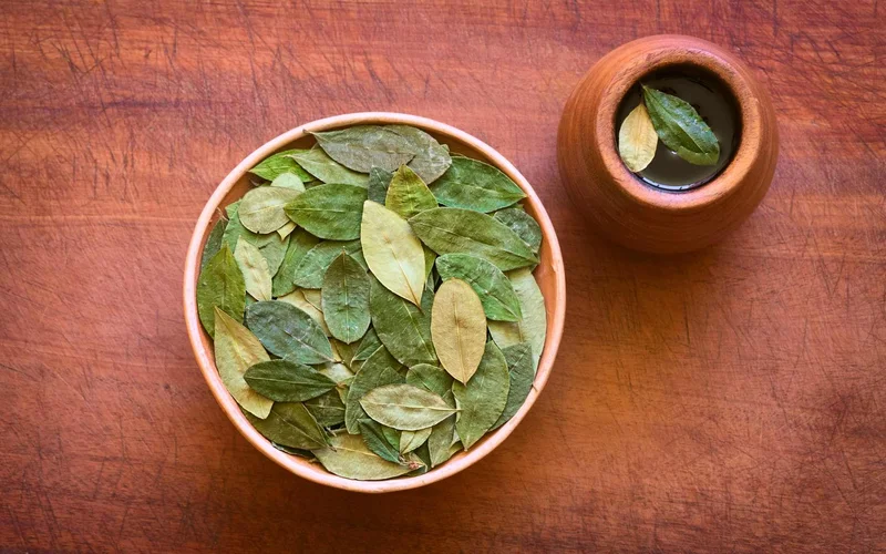 Coca Leaf Tea: Cultural Significance Explained