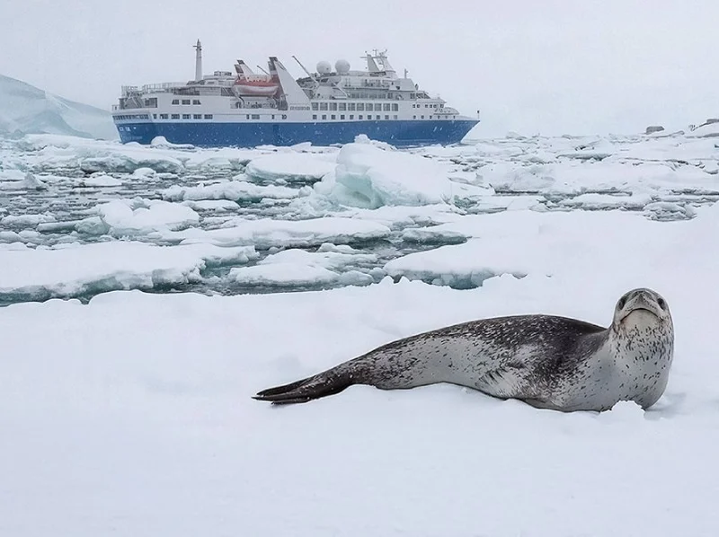 Discoverer |  antartida Cruise