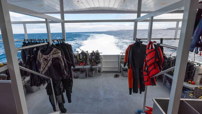 Dive Platform | Galaxy Diver II