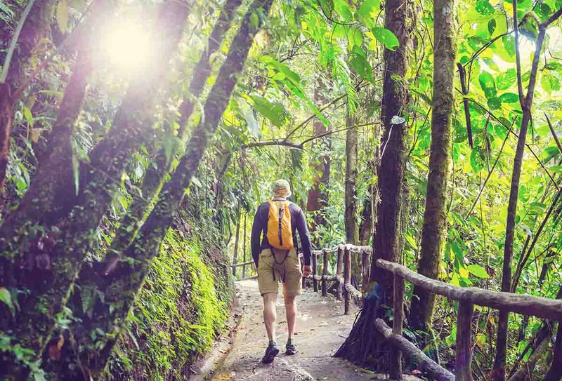 Hike | Corcovado | Costa Rica