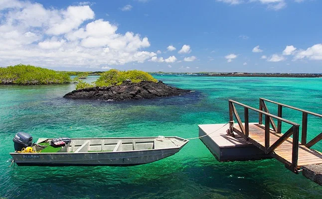 Isabela Island | Galapagos