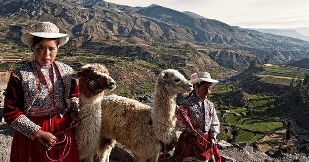 Historical Tours and travels in Puno: Explore the Rich Heritage of the City