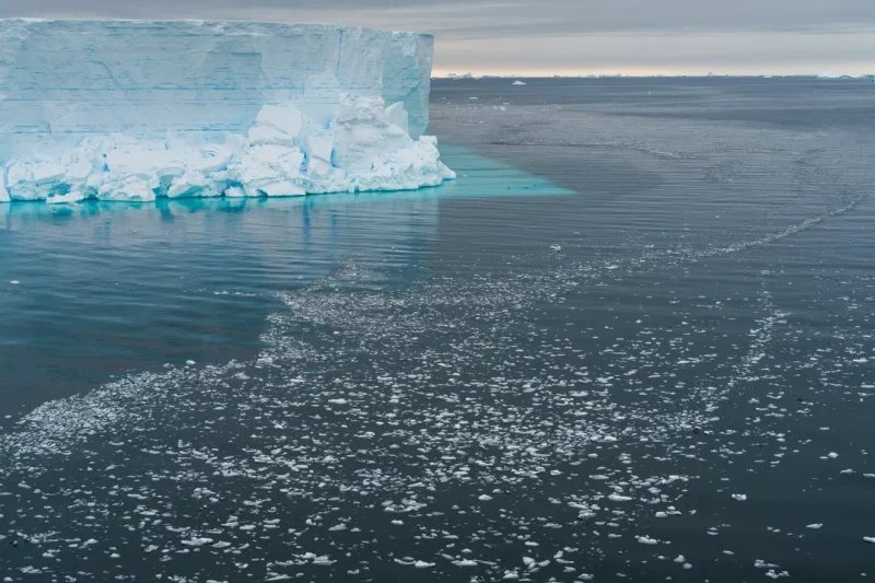 A surprising lesson from Antarctica: Life flourishes even under 500 feet of ice