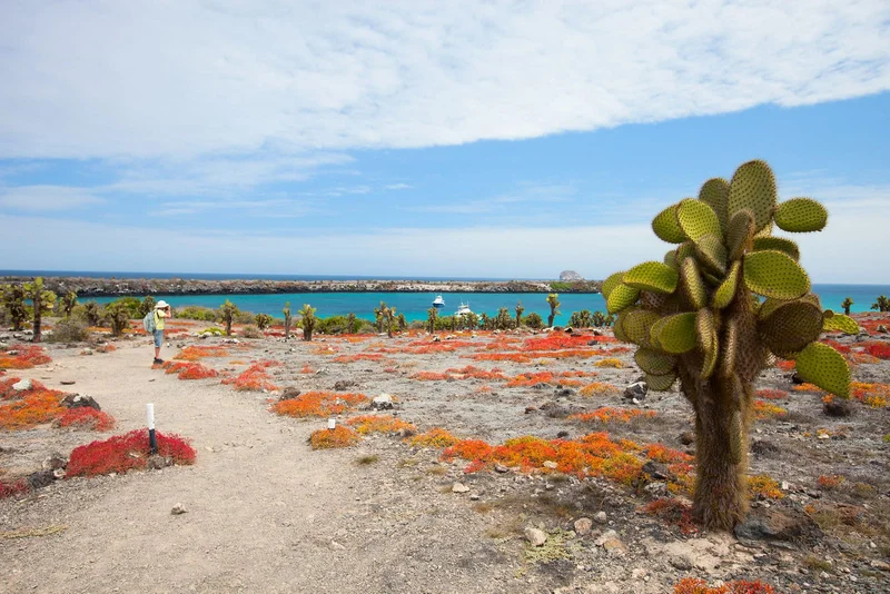South Plazas & Carrion Point Galapagos Tour