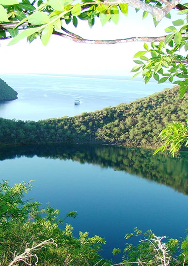 Best of Galapagos West
