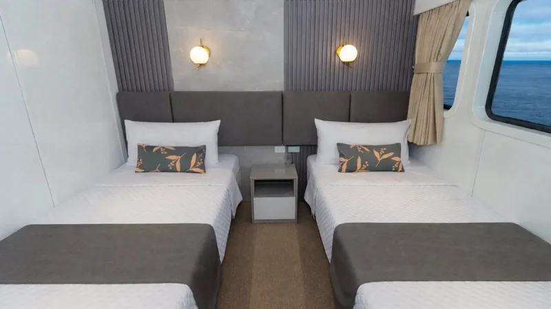 Lower Deck Cabin | South America Travel