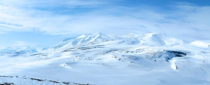 Arctic